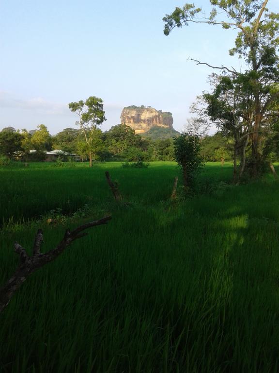 Sigiri Leisure Holiday Home Sigiriya Exterior foto