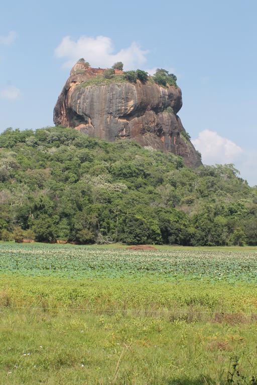 Sigiri Leisure Holiday Home Sigiriya Exterior foto