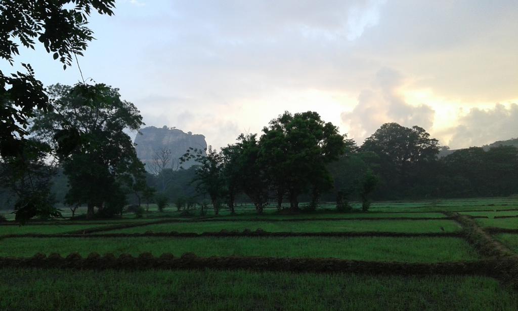Sigiri Leisure Holiday Home Sigiriya Exterior foto